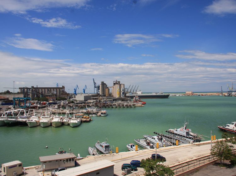 Blu Ericailcane Silos