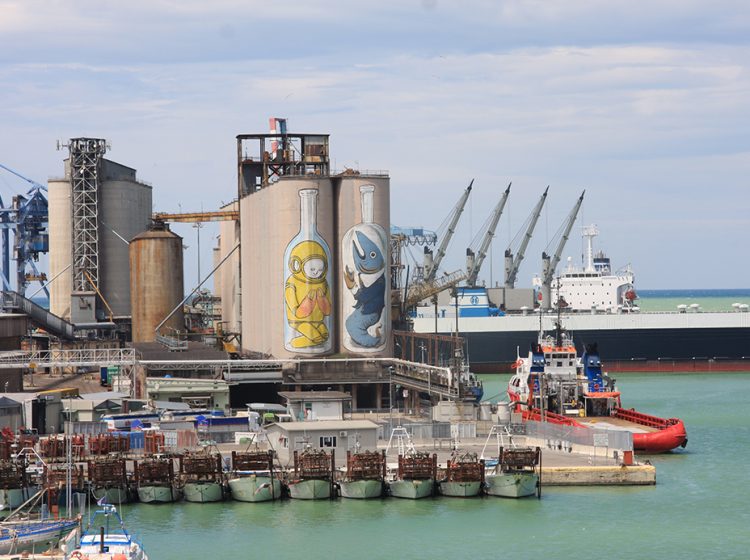 Blu Ericailcane Silos