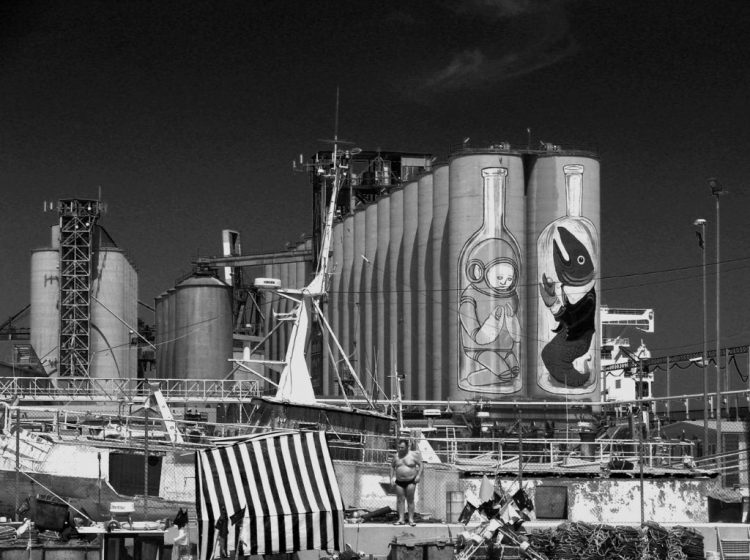 Blu Ericailcane - Silos